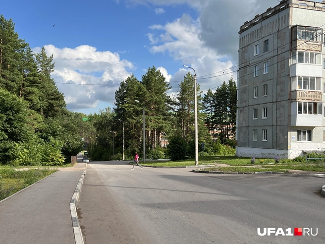 Новый район начинается сразу за этим лесом | Источник: Андрей Бирюков / UFA1.RU