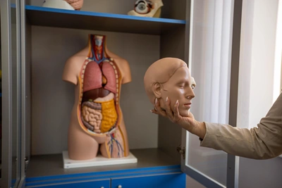 Врач объяснила, почему сон и половая жизнь важны для мужского здоровья