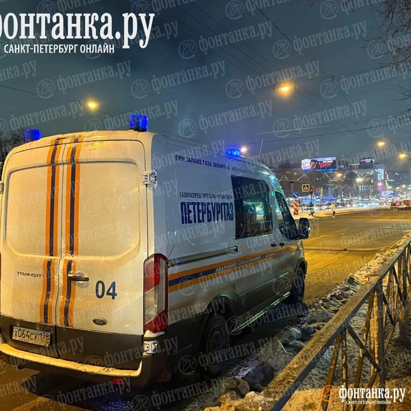 Источник: Дарья Драй / «Фонтанка.ру»