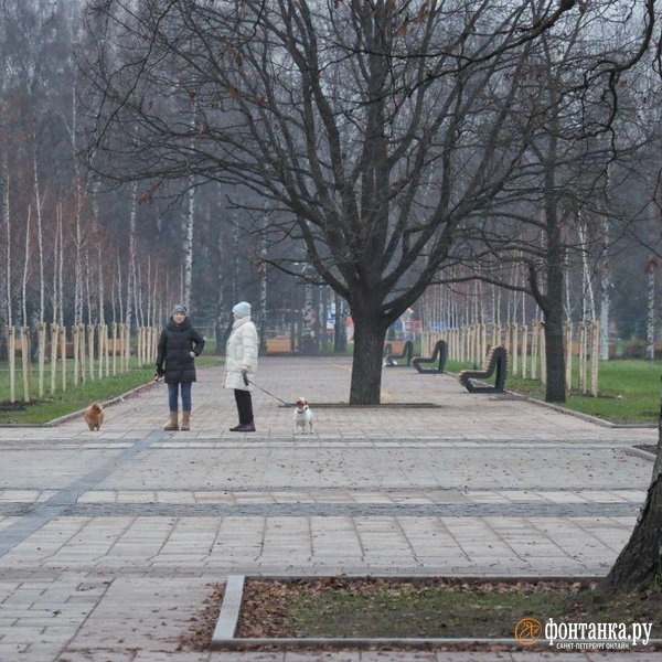 Источник: Михаил Огнев / «Фонтанка.ру»