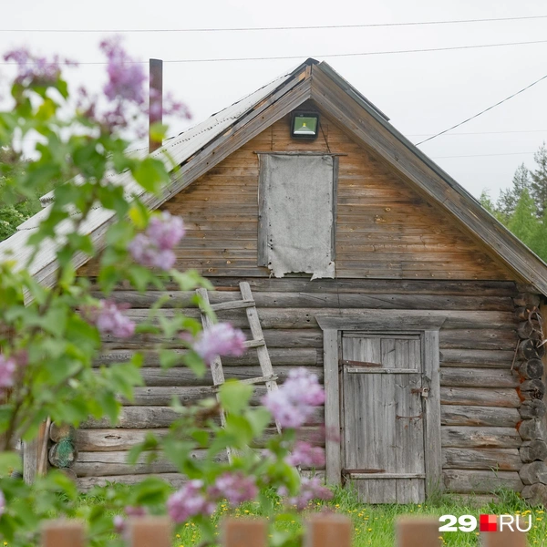 Источник: Иван Митюшёв / 29.RU 