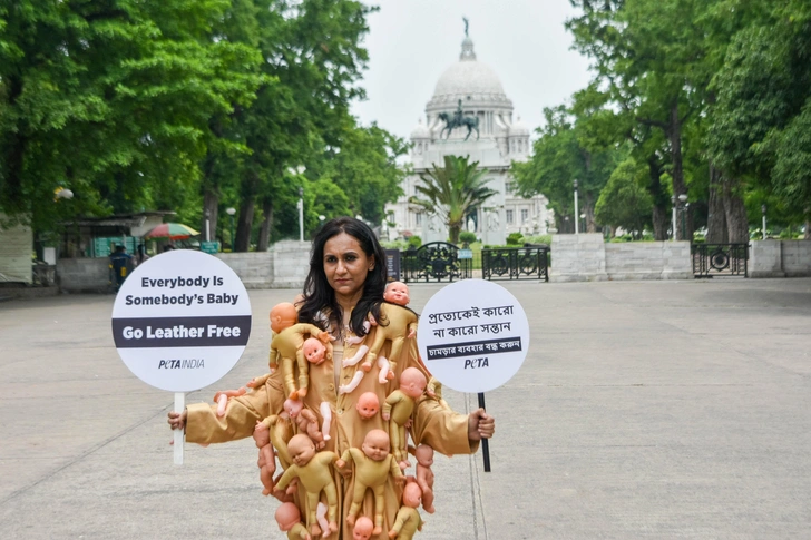 В 2023 году в Индии члены организации PETA организовали акцию протеста и информационную демонстрацию. Они надели пальто с пришитыми куклами младенцев и держали плакаты с надписями «Каждый — чей-то ребенок: откажитесь от кожи». Целью кампании было привлечь внимание к жестокому обращению с животными, прежде чем из их шкур сделают кожу, и повысить осведомленность о веганской альтернативе коже. | Источник: Getty Images