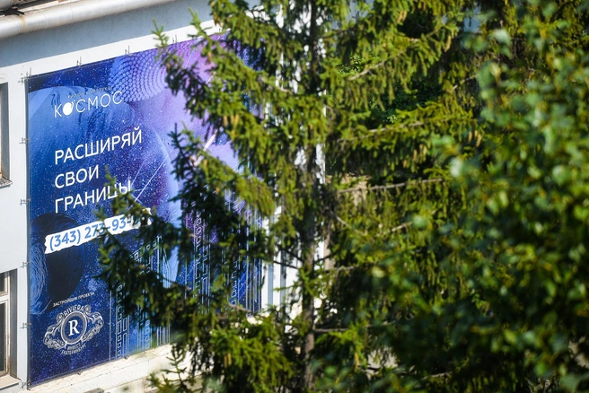 Из окон будет видно полувековые ели | Источник: Максим Воробьев
