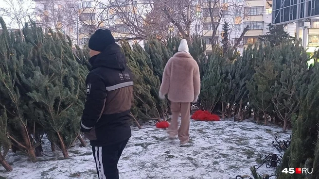 Две недели до Нового года | Источник: Анна Сарапульцева / 45.RU