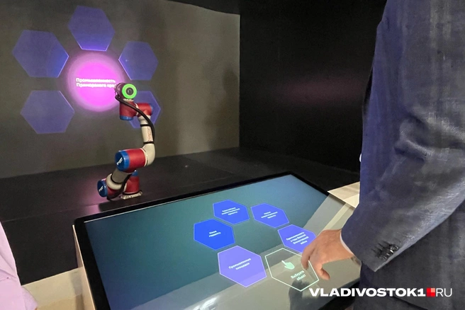 Источник: Елена Буйвол / VLADIVOSTOK1.RU