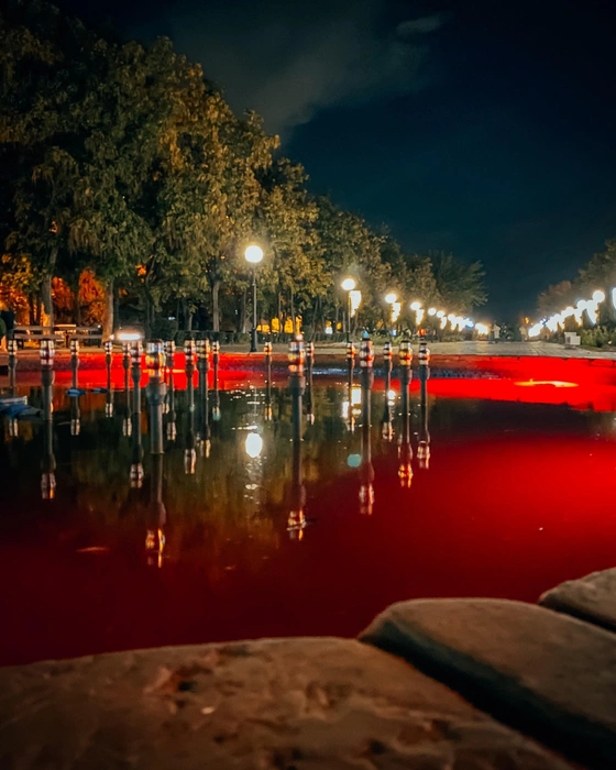 Подсветка фонтана лишь добавляет таинственности | Источник: Юлия Воропаева / Vk.com