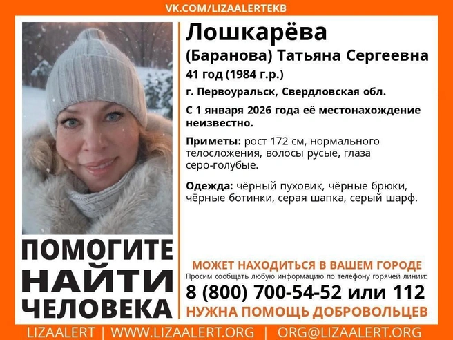 Источник: «ЛизаАлерт»