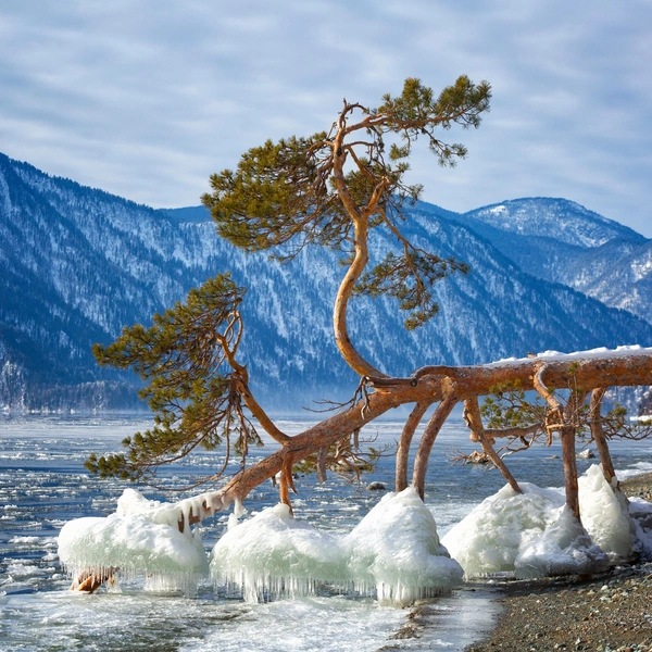 Источник: Shchipkova Elena/Shutterstock/Fotodom.ru