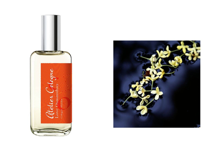 Atelier cologne osmanthus. Духи Love Osmanthus Atelier Cologne. Atelier Cologne Love Osmanthus упаковка. Atelier Cologne Love Osmanthus 100 мл. Love Osmanthus Limited Edition, Atelier Cologne.