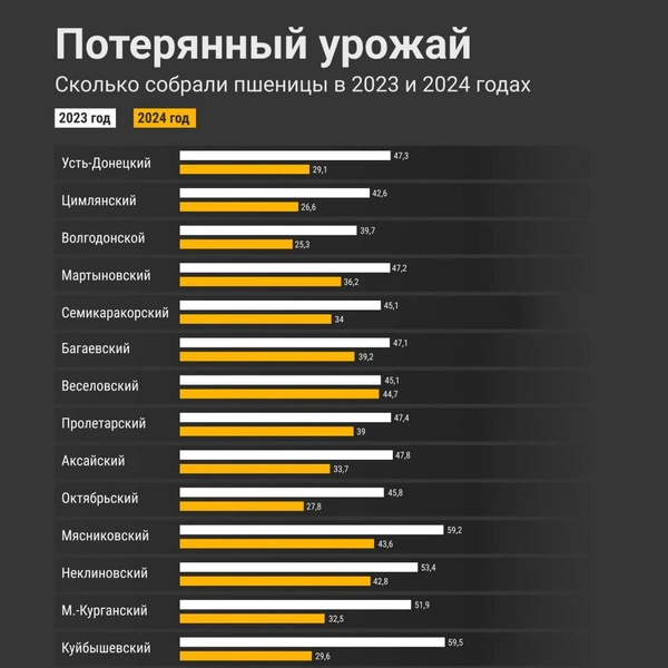 Статистика районов Ростовской области | Источник: Мария Романова / 161.RU