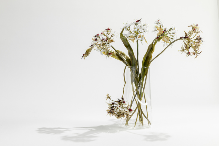 Цветы из стекла Лиллы Табассо (фото 13)