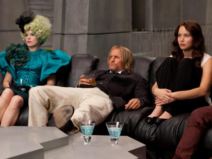 Источник: Кадр из серии фильмов «Голодные игры»