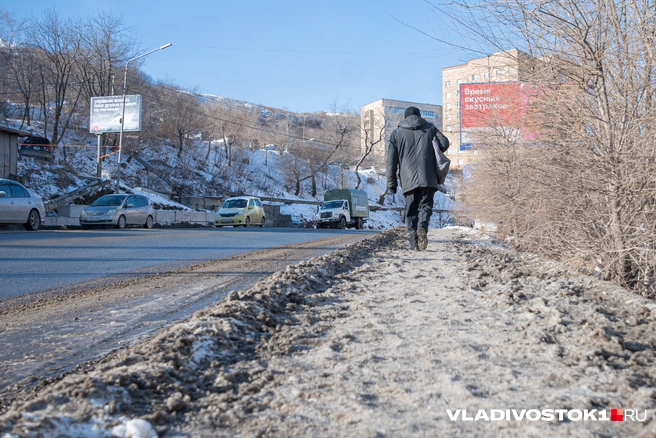 Источник: Елена Буйвол / VLADIVOSTOK1.RU