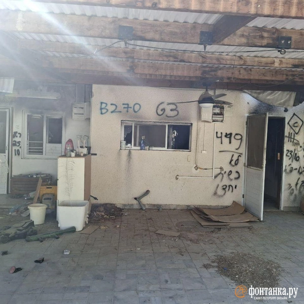 Источник: Ирина Багликова / «Фонтанка.ру»