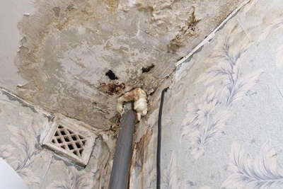 Февральская оттепель вызвала потопы в волгоградских домах