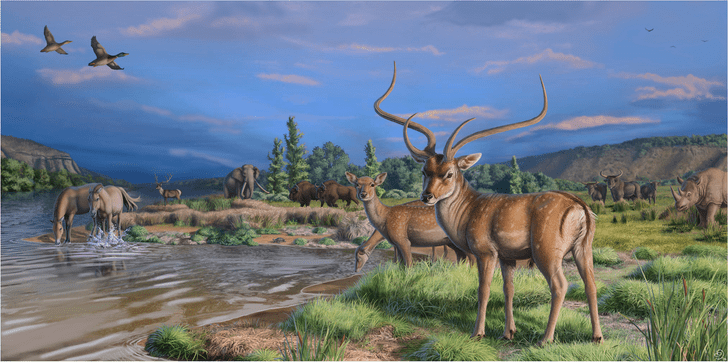 Посмотрите на оленя с 4 рогами: такие копытные бродили по Европе 300 тысяч лет назад