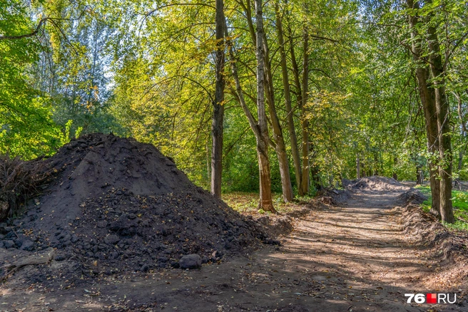 Весной 2024 года во время голосования около 32 тысяч ярославцев выбрали в качестве территории на благоустройство старинный парк на Перекопе | Источник: Кирилл Поверинов / 76.RU