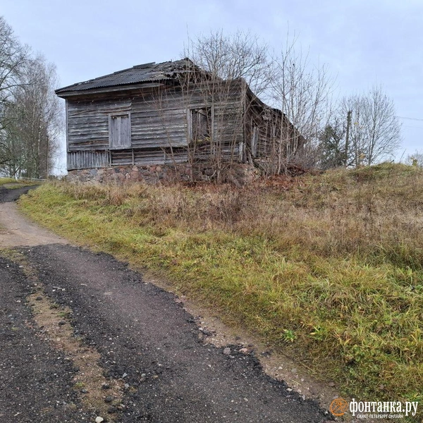 Источник: Ирина Багликова / «Фонтанка.ру»