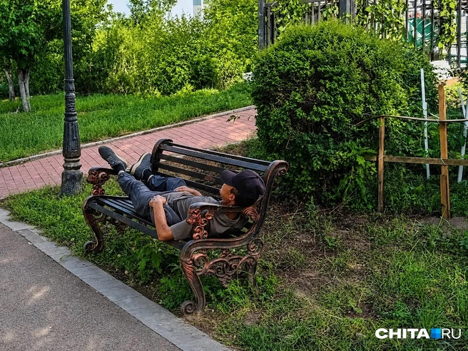 Источник: Любовь Никитина