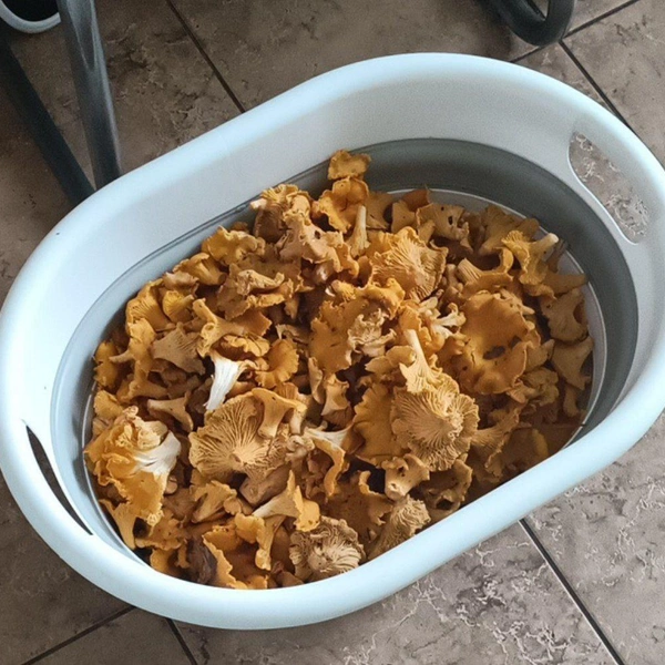 Источник: читатель NN.RU