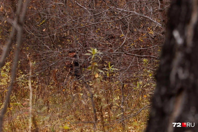 С 9 октября в Затюменском идут поисковые работы | Источник: Ирина Шарова / 72.RU