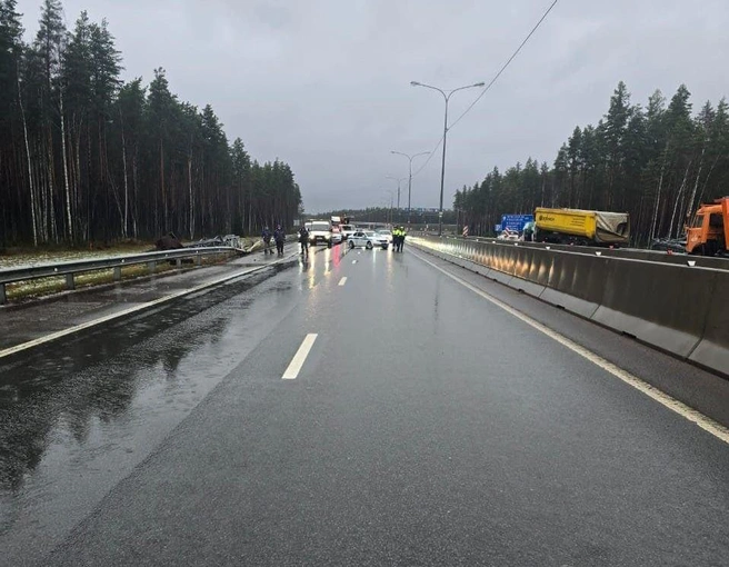 Источник: читатель «Фонтанки»