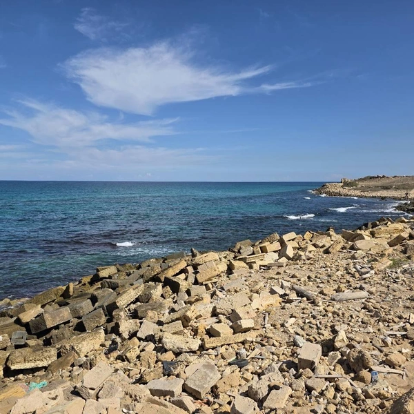 Источник: Алексей Котельников