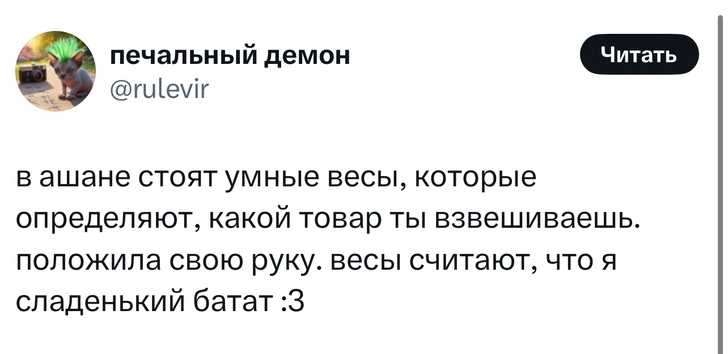 Источник: X (Twitter)