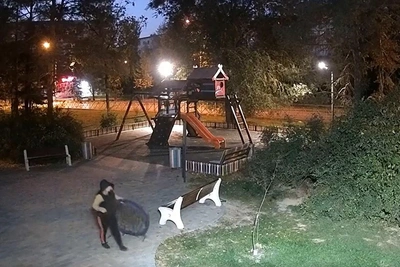 В Волжском женщина унесла качели с детской площадки