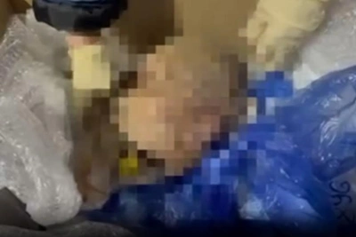 В Петербурге раскрыли схему торговли телами из морга