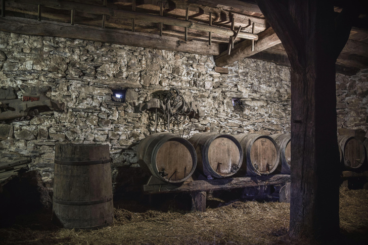 Напиток кельтов: как делают и пьют сидр в Северной Испании