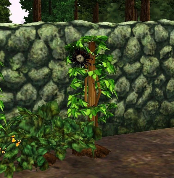 Как получить и использовать цветы смерти в The Sims 4
