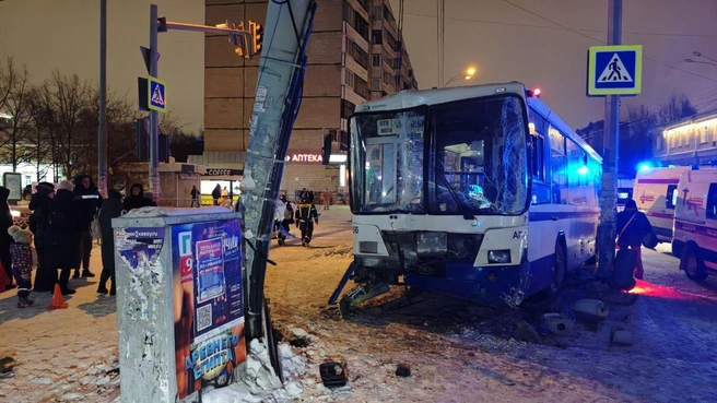 В аварии пострадали 8 пассажиров | Источник: ИА «Ночные новости»