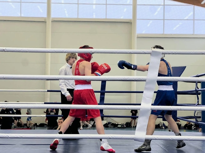 Источник: Елена Васильева