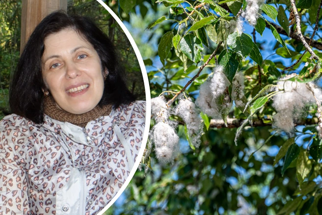 Биолог Марина Борисова рассказала, как погода влияет на распространение пыльцы | Источник: ЯрГУ имени Демидова, Олег Фёдоров / CHITA.RU