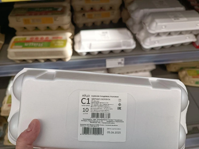 Источник: Анастасия Харитонова / MSK1.RU