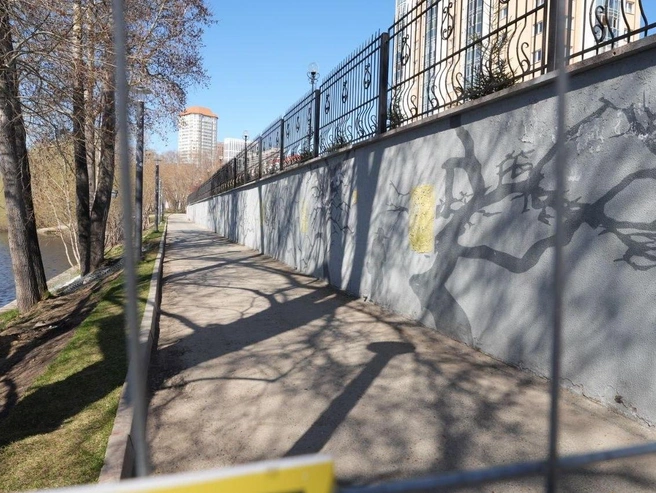Источник: Кирилл Кушнов / E1.RU