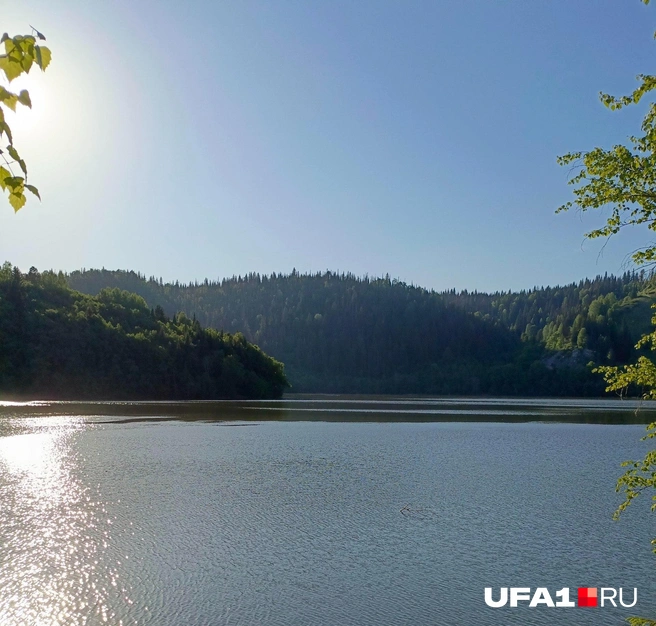 Сим | Источник: Лейсан Загитова / UFA1.RU