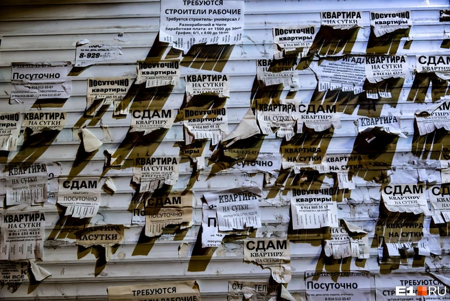 Арендных квартир сейчас больше, чем желающих их снять | Источник: Олег Фёдоров / Городские медиа
