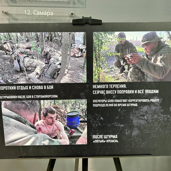 Разные фотографии | Источник: Илья Константинов / 14.RU