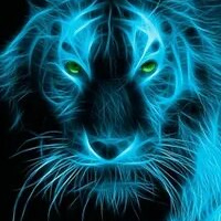 Аватарка Ангелина Волкова