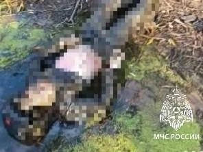 О трагедии стало известно утром 15 октября | Источник: Пресс-служба ГУ МЧС по РТ