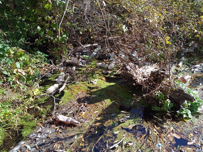 Но в двух шагах — настоящая свалка | Источник: Дмитрий Сильнов / 173. RU