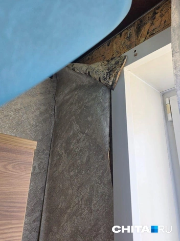 Плесень и грибок — квартиру сироты топит в Чите | Источник: очевидец