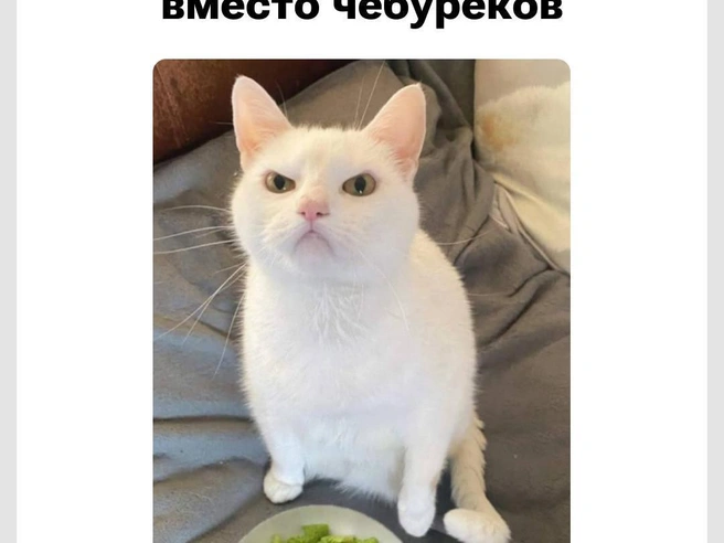 Вечные салаты на столе | Источник: Городские медиа