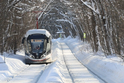 Москвичей ждет потепление на выходных