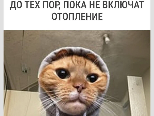 И шерстяные носки! | Источник: Городские медиа