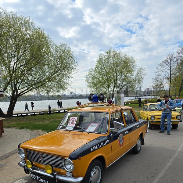 Источник: Читатель Voronezh1.ru