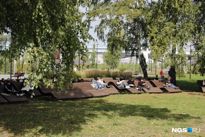 Шезлонги для отдыха  | Источник: Стас Соколов / NGS.RU