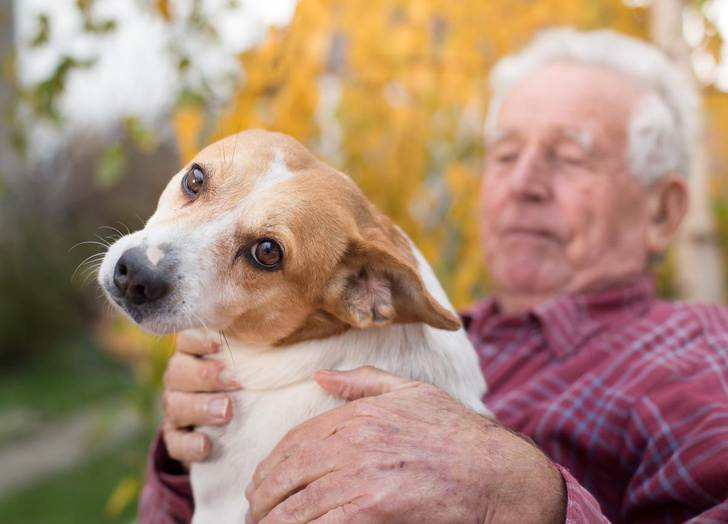 Силой собачьей любви: как ваш пес спасает ваше ментальное здоровье